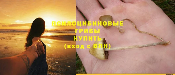 apvp Волоколамск