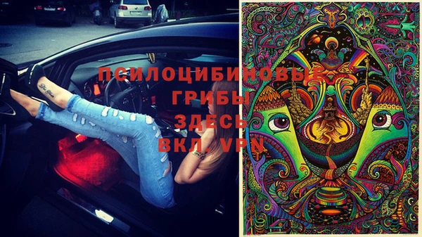 apvp Волоколамск