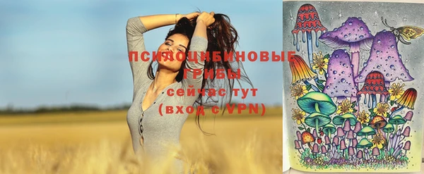 apvp Волоколамск