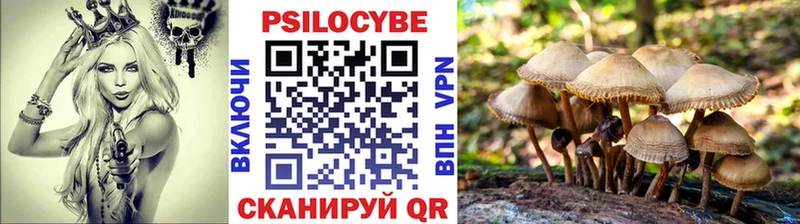 Псилоцибиновые грибы MAGIC MUSHROOMS  Воскресенск 