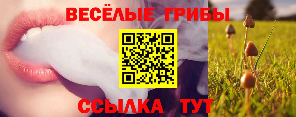 Псилоцибиновые грибы прущие грибы  цены   Воскресенск  Галлюциногенные грибы Psilocybine cubensis 