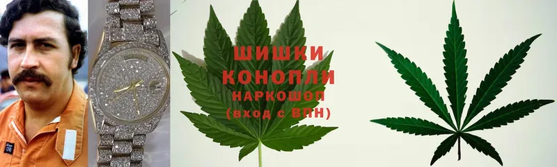 Канабис White Widow  как найти   Воскресенск 